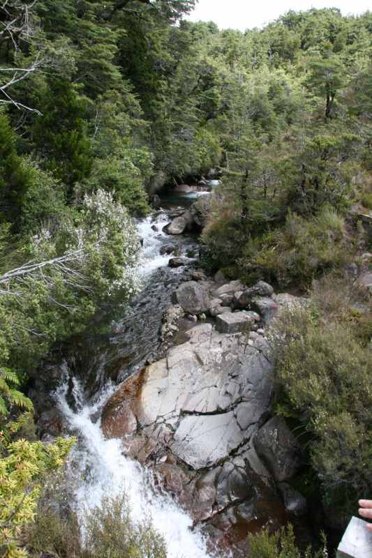 Nieuw-Zeeland 2011 - 0838
